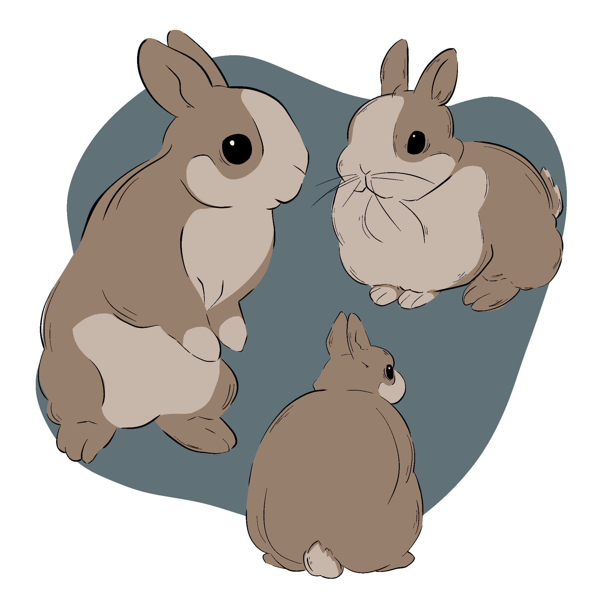 Untitled_Artwork (18).png
