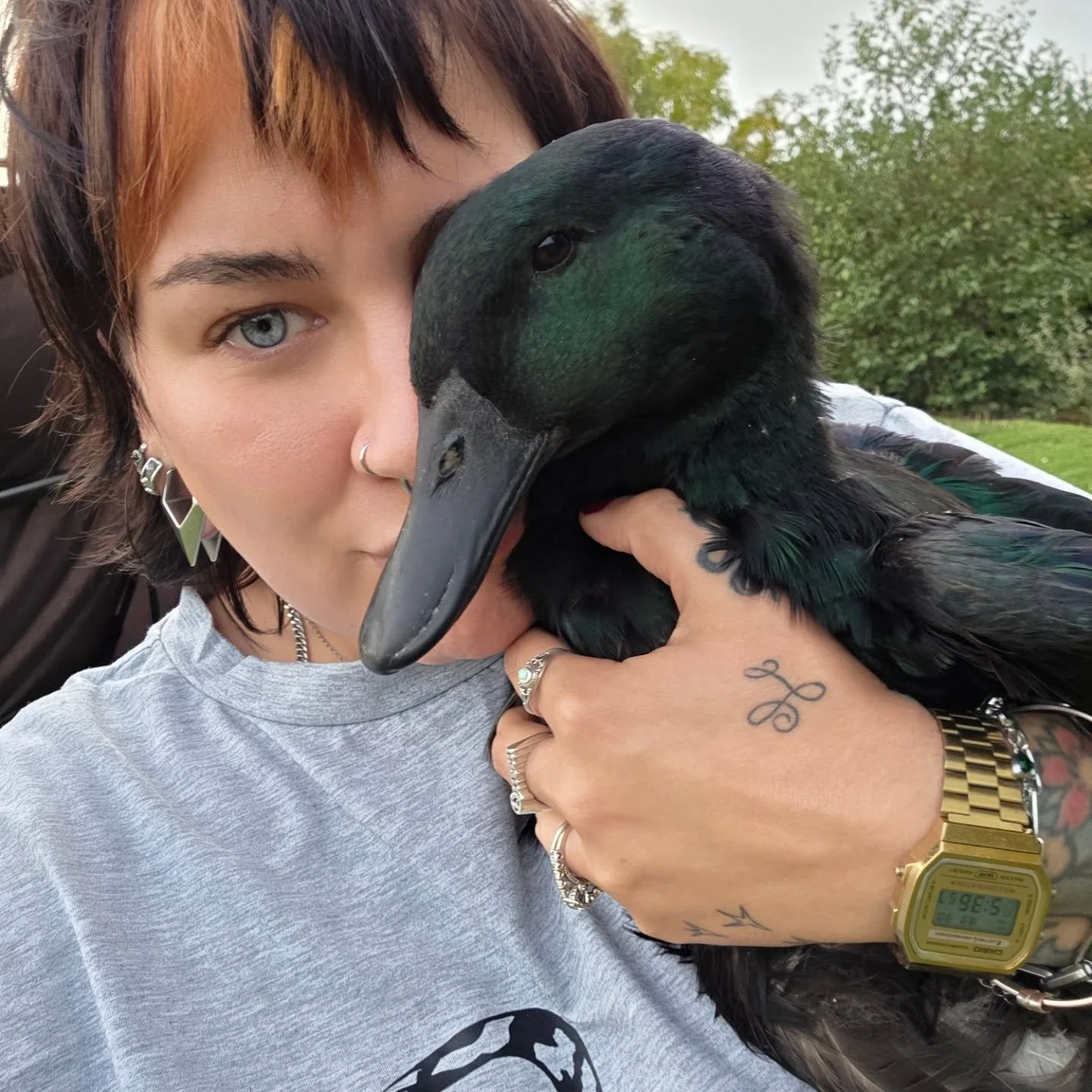 Jade, Rue, Harley and of course Spike all got cuddles tonight. Standard health checks done. All good. All feet look good and I got a fat lip from Spike being a Mr grumpy pants 🤣
Also....for some unknown reason...I now refer to Rue as Rue Bear. My br