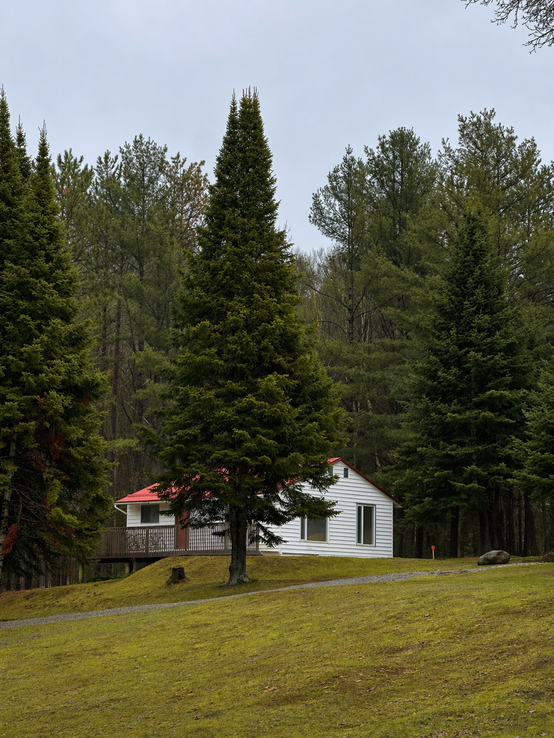 Deluxe Cottage.png
