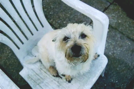 Winnie