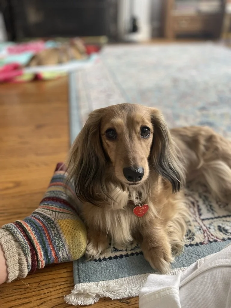 Frankie
