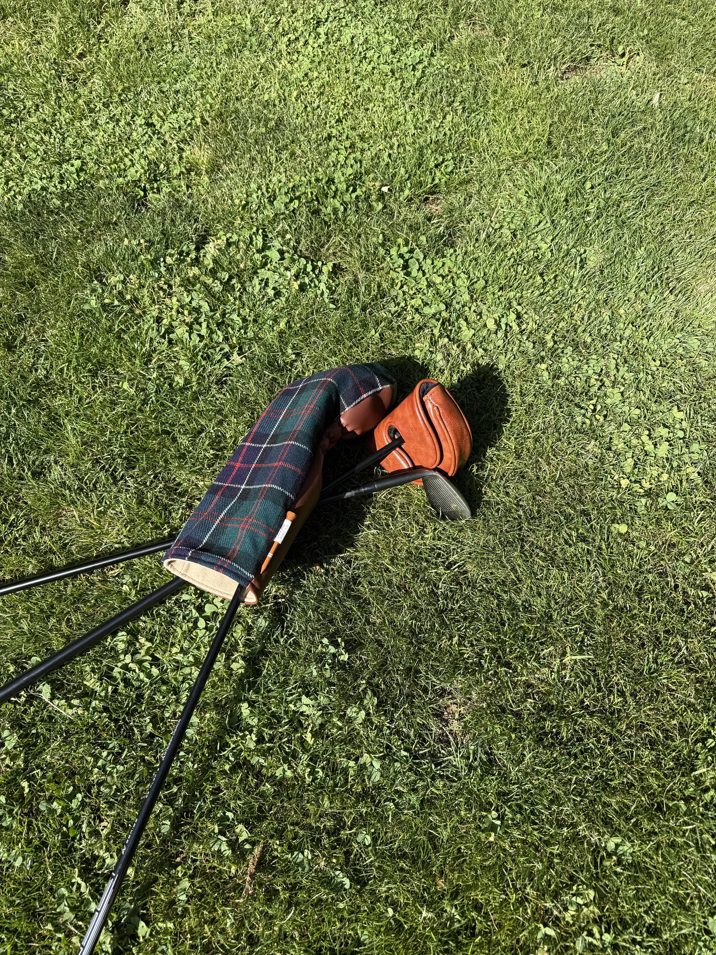 Hamish_6.jpeg