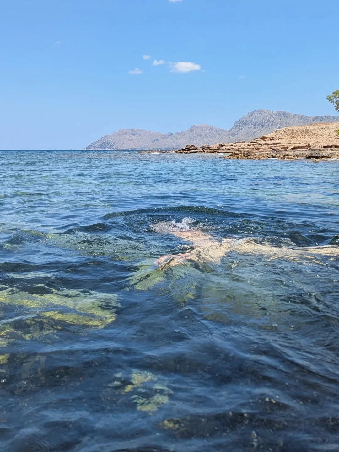Found this picture from last summer on my phone and can't wait to dive into the blue Mediterranean sea again 🌊

Usually I had my first swim of the year in Februar or March already, but due to sickness I couldn't swim since October. So need to do tha