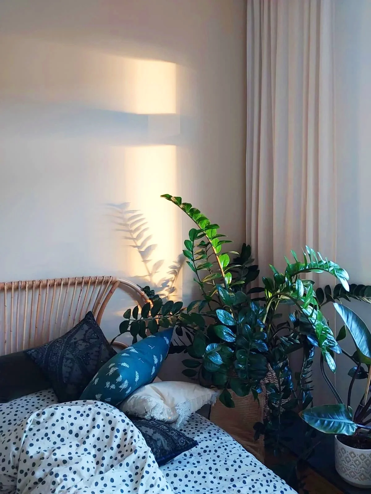 A bedroom with a bed covered in white sheet with black polka dots, multiple patterned pillows, a wicker headboard, and a large green houseplant next to a window with white curtains. Light from outside creates shadows on the wall.