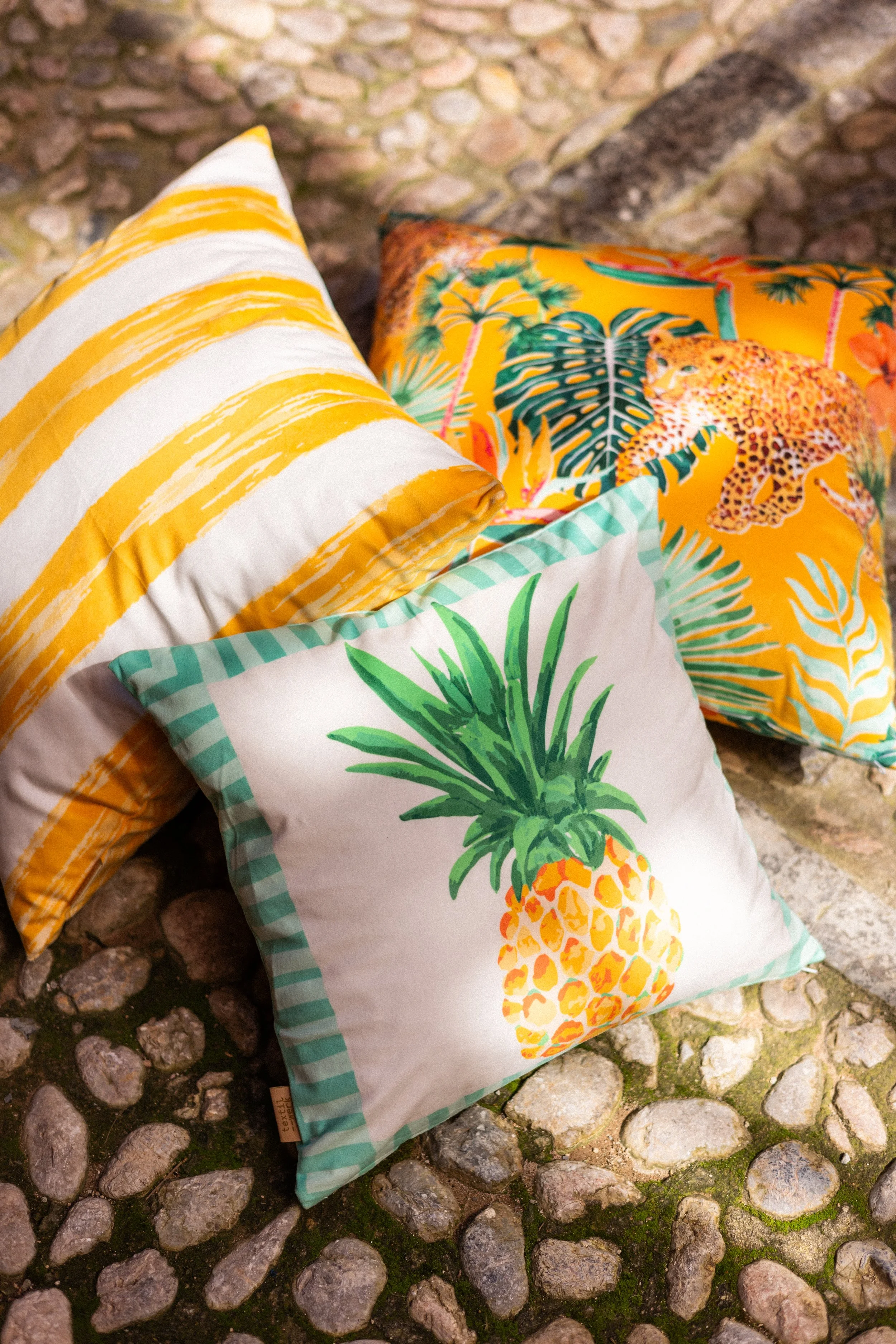 Tropical Dream-K.Menzenbach-9.jpg