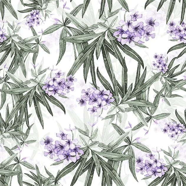 8x8cm__0003_Oleander lavendel.jpg