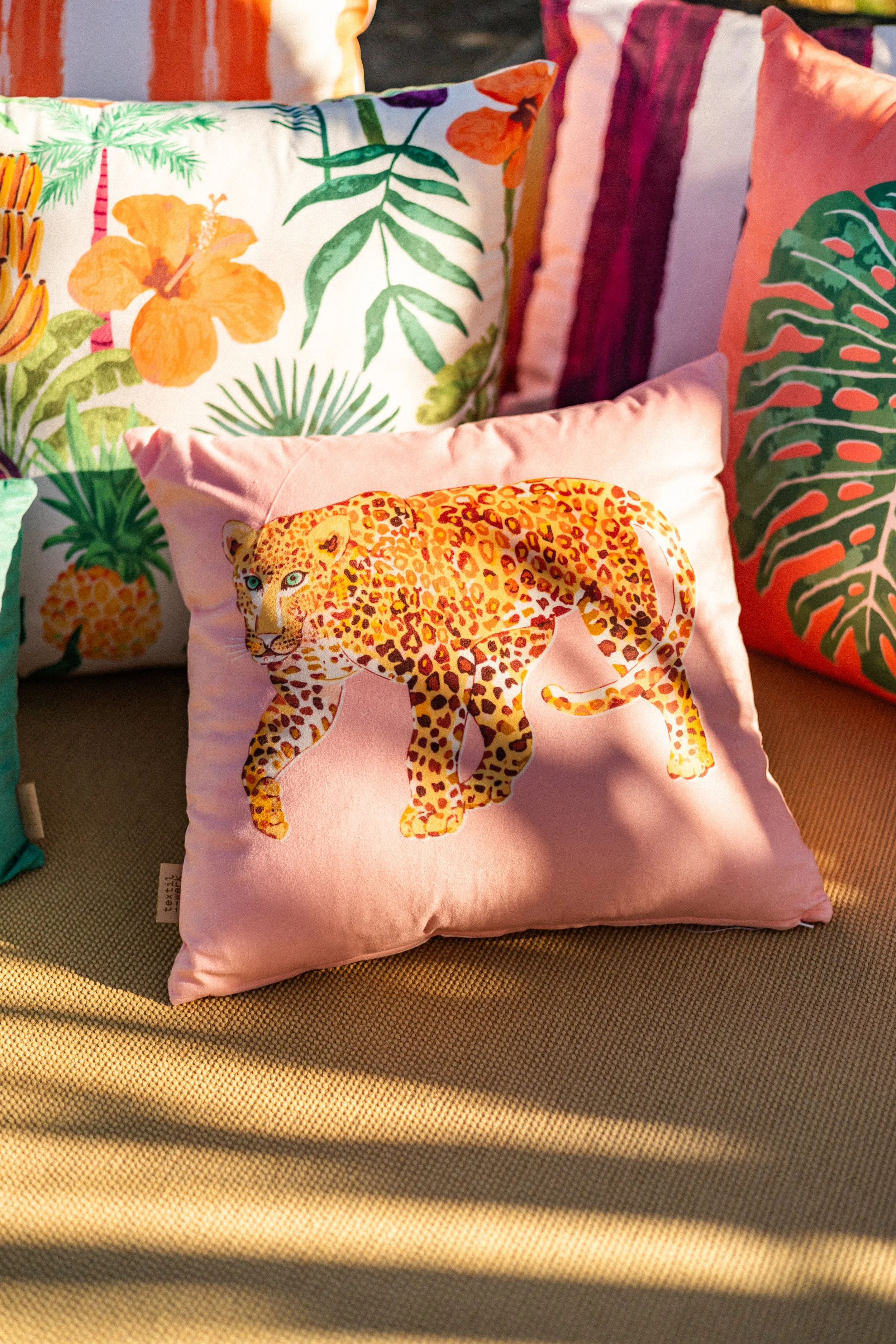 Tropical Dream-K.Menzenbach-14.jpg