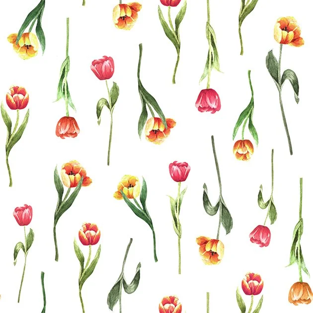 8x8cm__0041_210117_Tulpen_Muster_bunt.jpg
