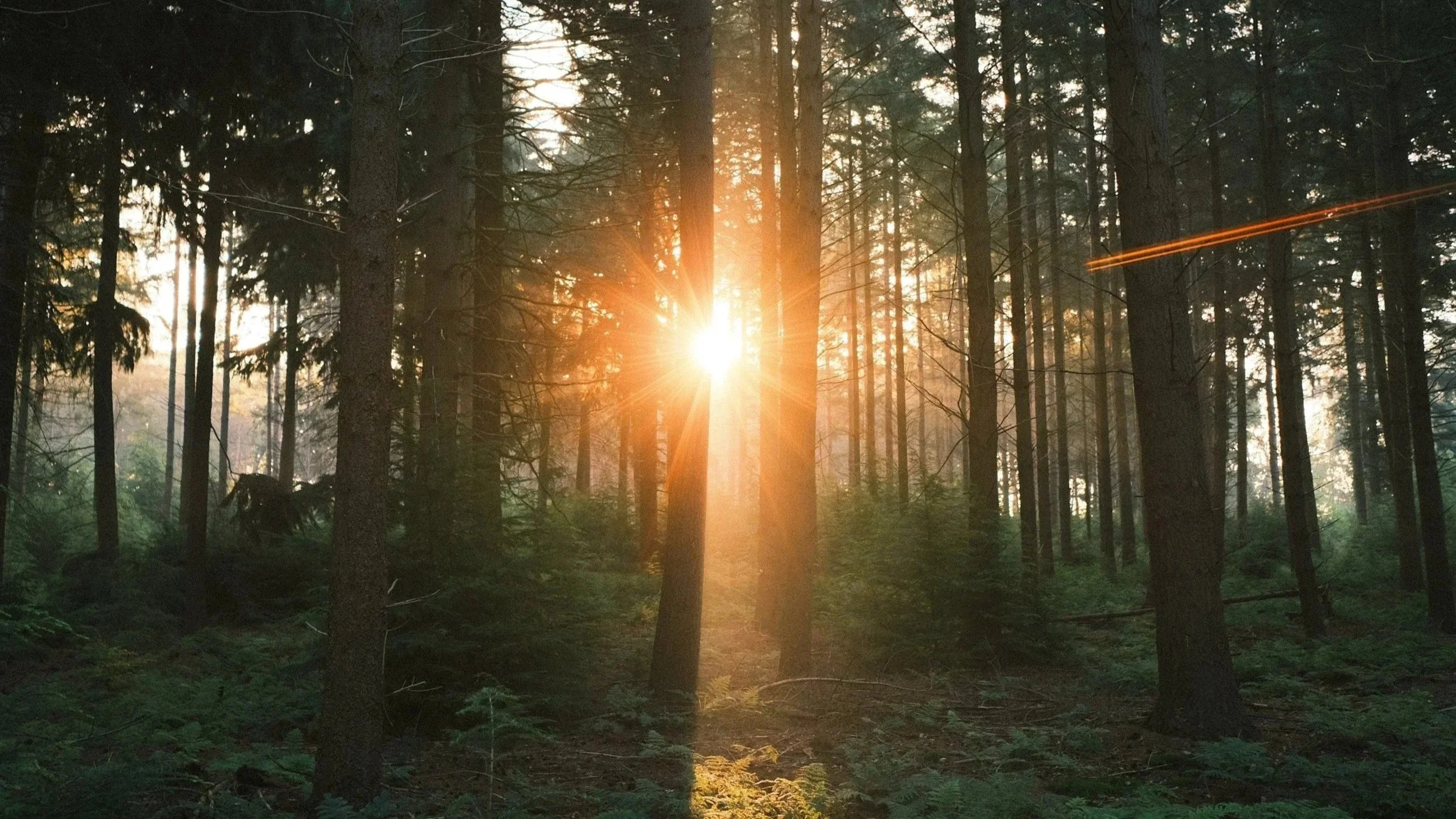 Navigating The Challenging Seasons of Life in Eating Disorder Recovery