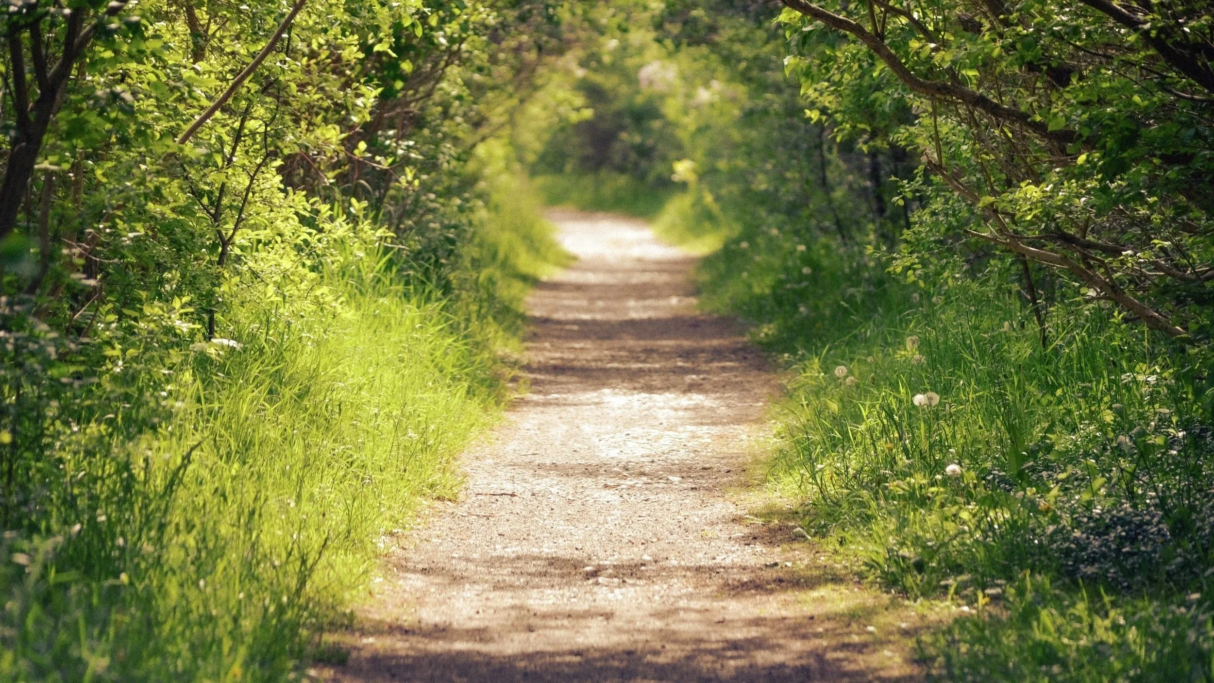 The Hidden Grief in Eating Disorder Recovery