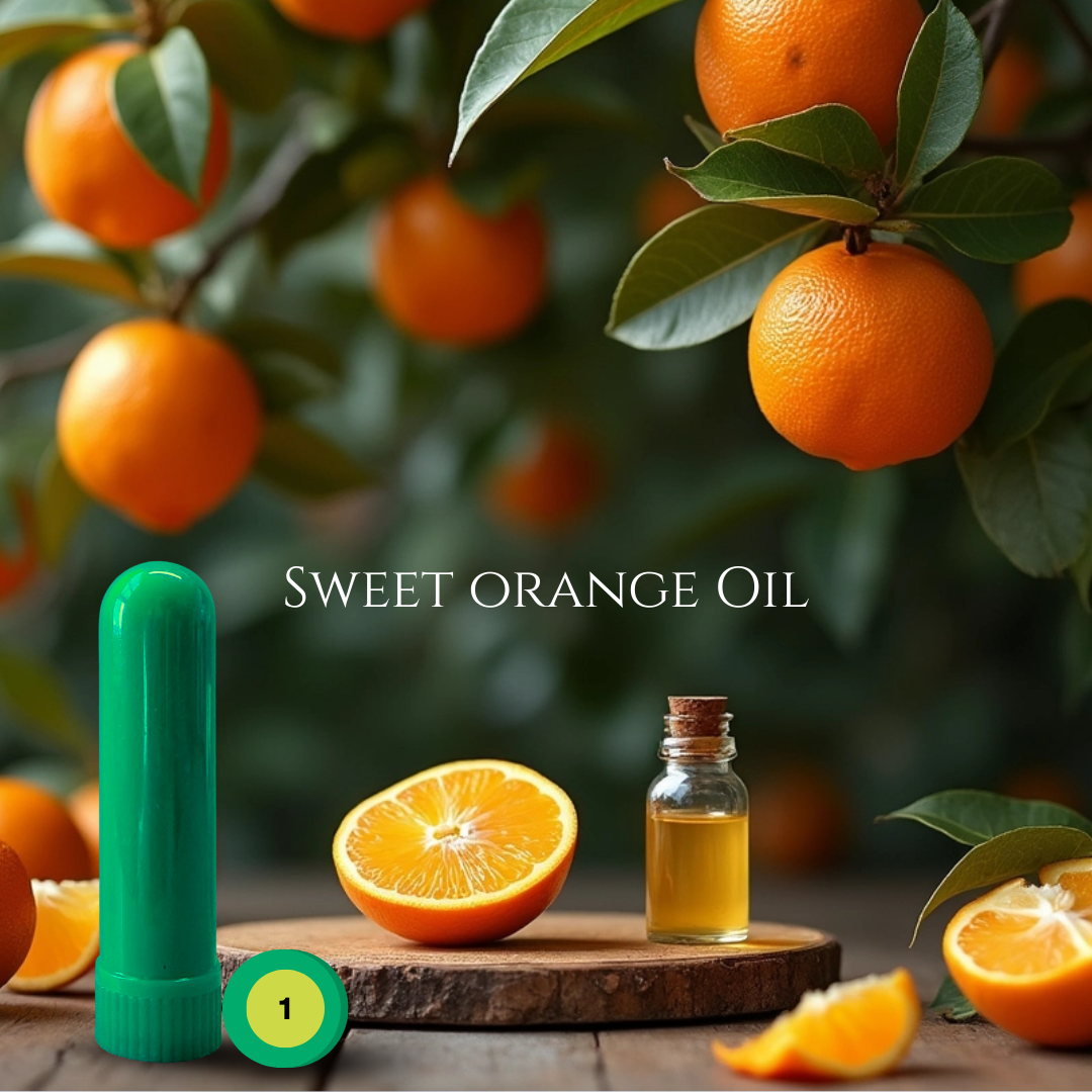 01_CITRUS_02_ORANGE.png