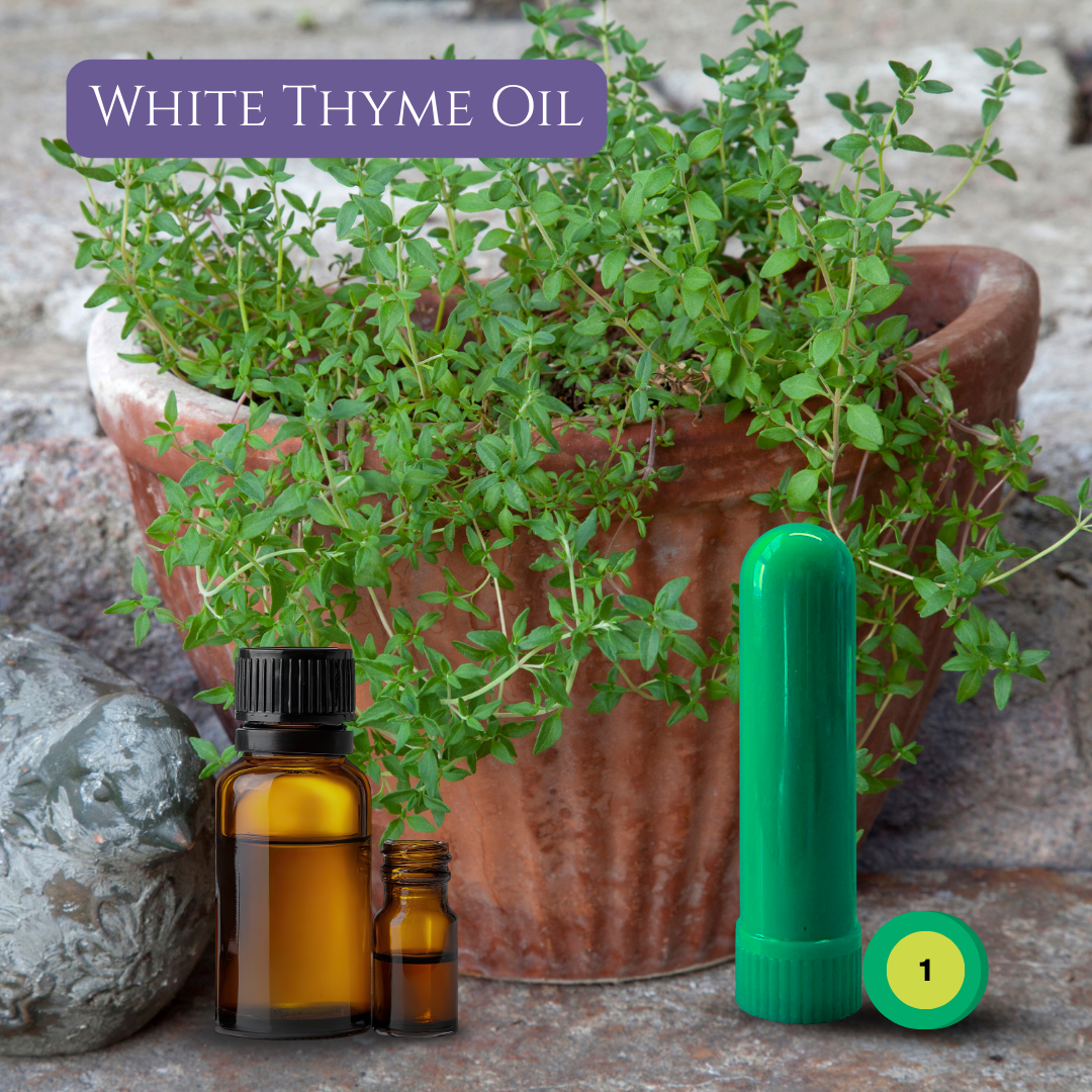 03_HERBS_02_THYME.png