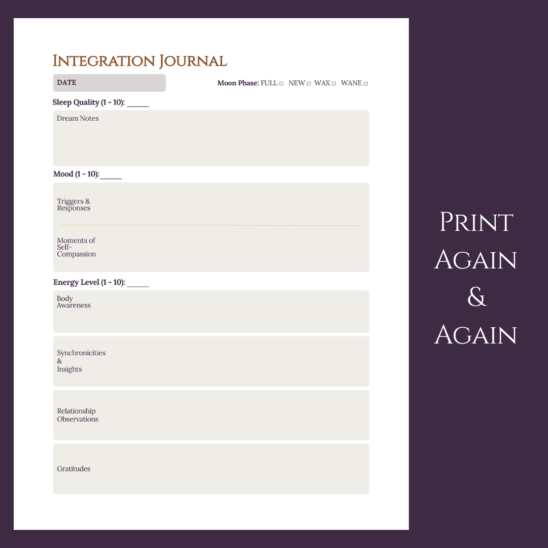 05_shadow_guide_journal.png