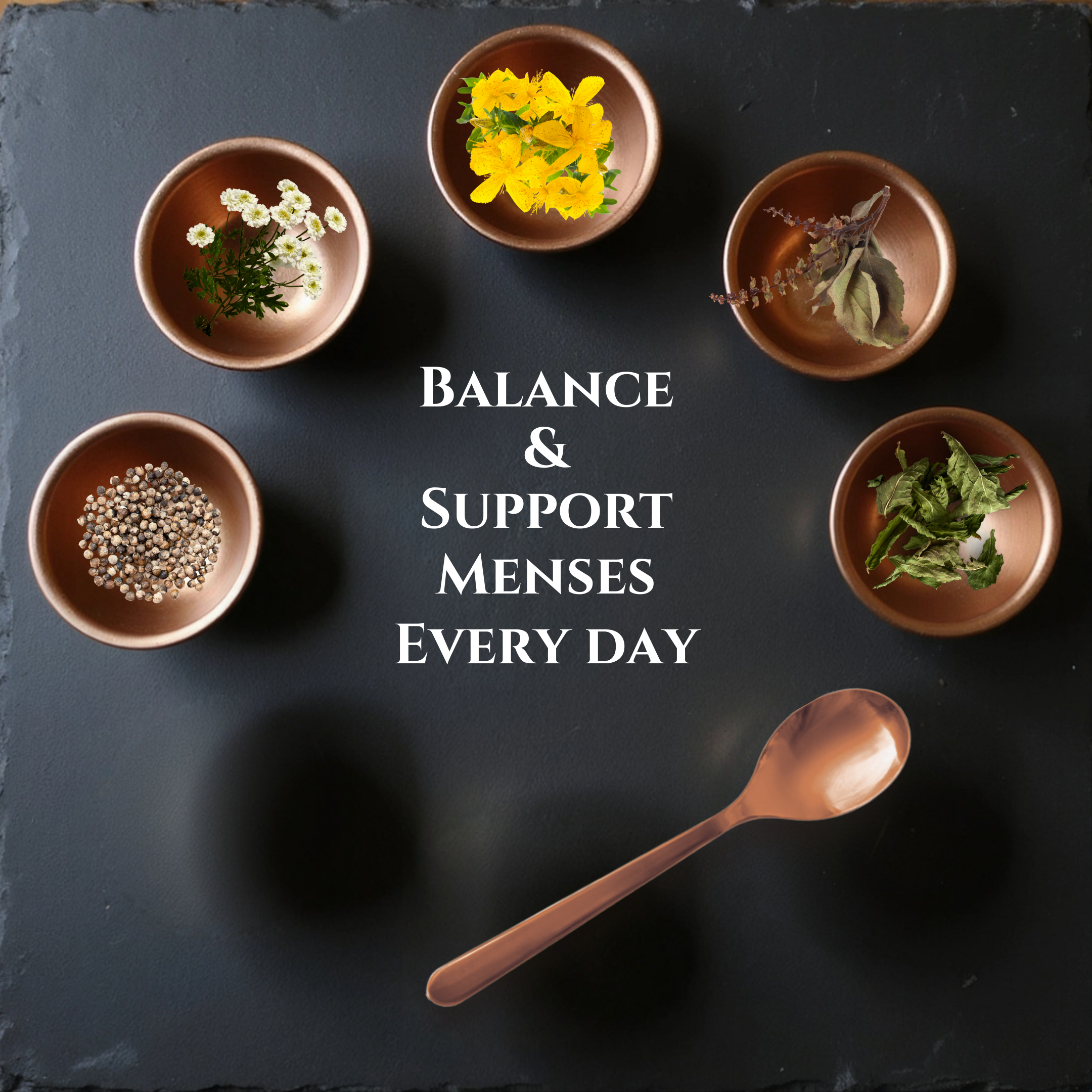 mooncycle_balance_04.png