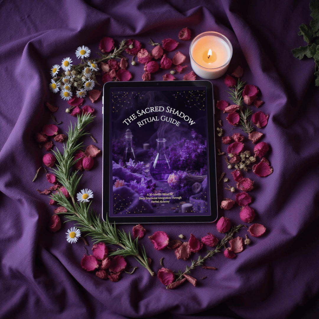 04_shadow_guide_flatlay.png