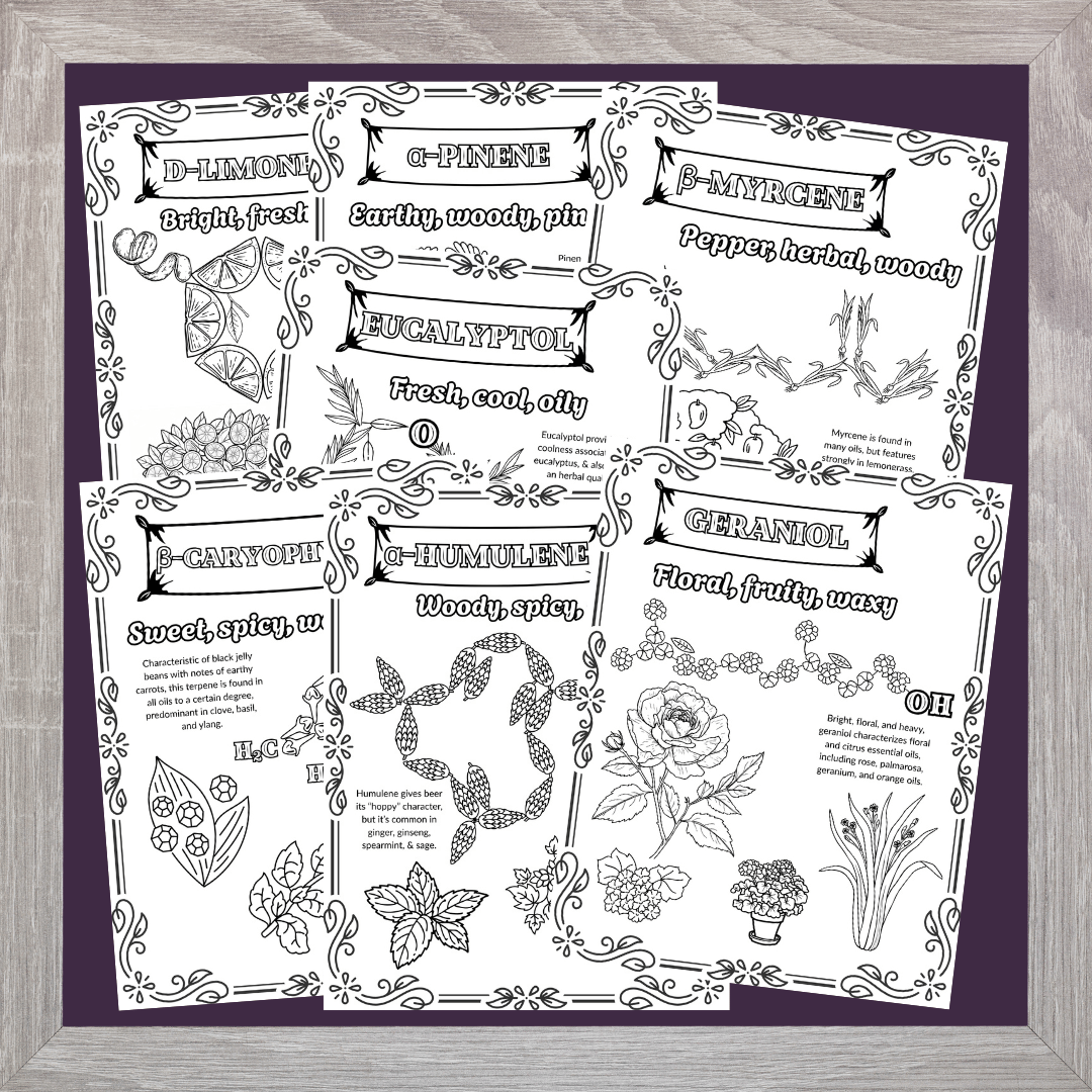 04_Terpene_Pages.png