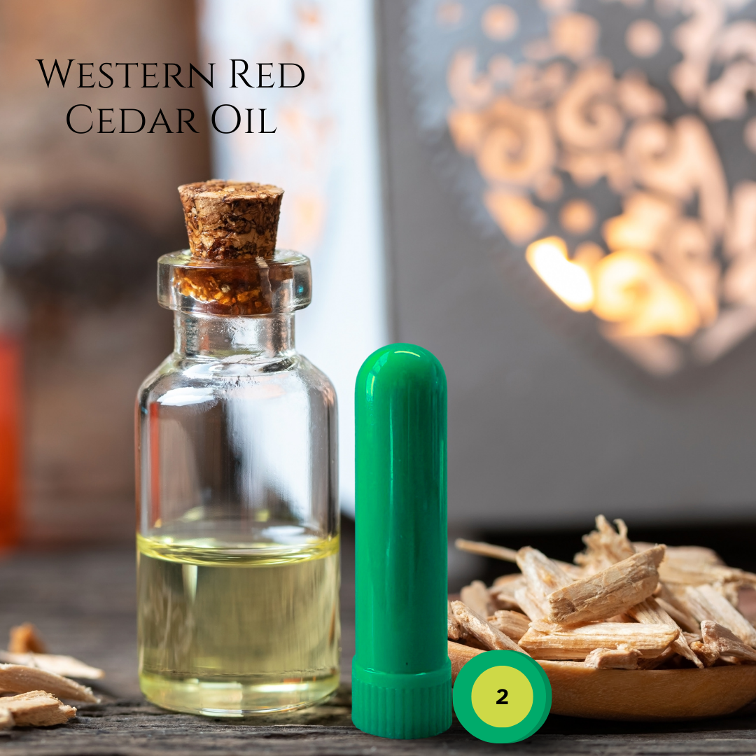 10_PINE_03_W-RED-CEDAR.png
