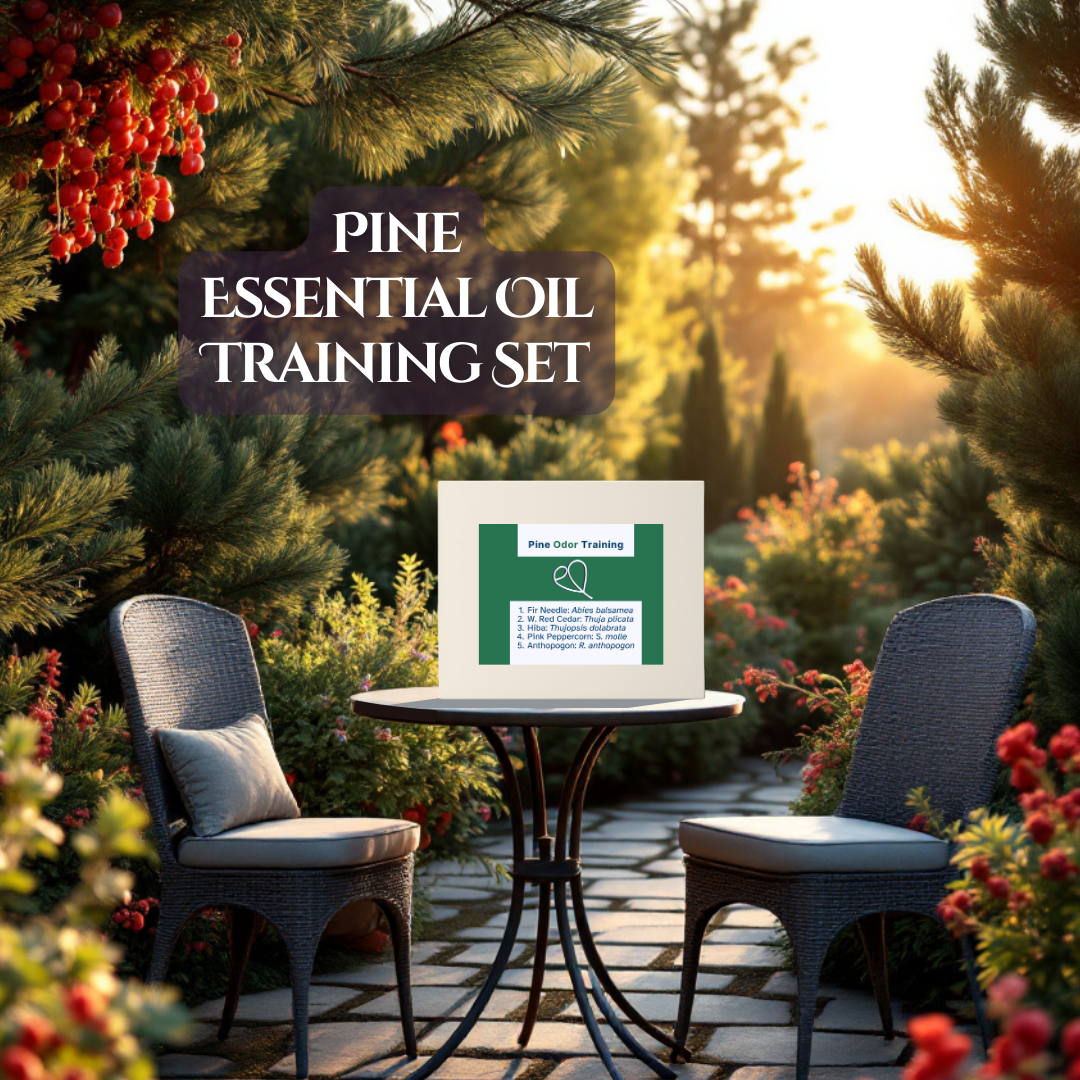 10_PINE_01.png