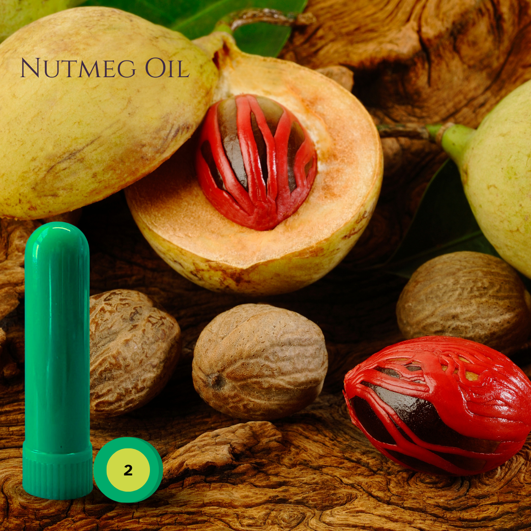 04_SPICE_03_NUTMEG.png