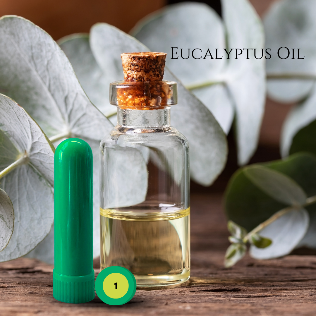 06_HERBAL_02_EUCALYPTUS.png