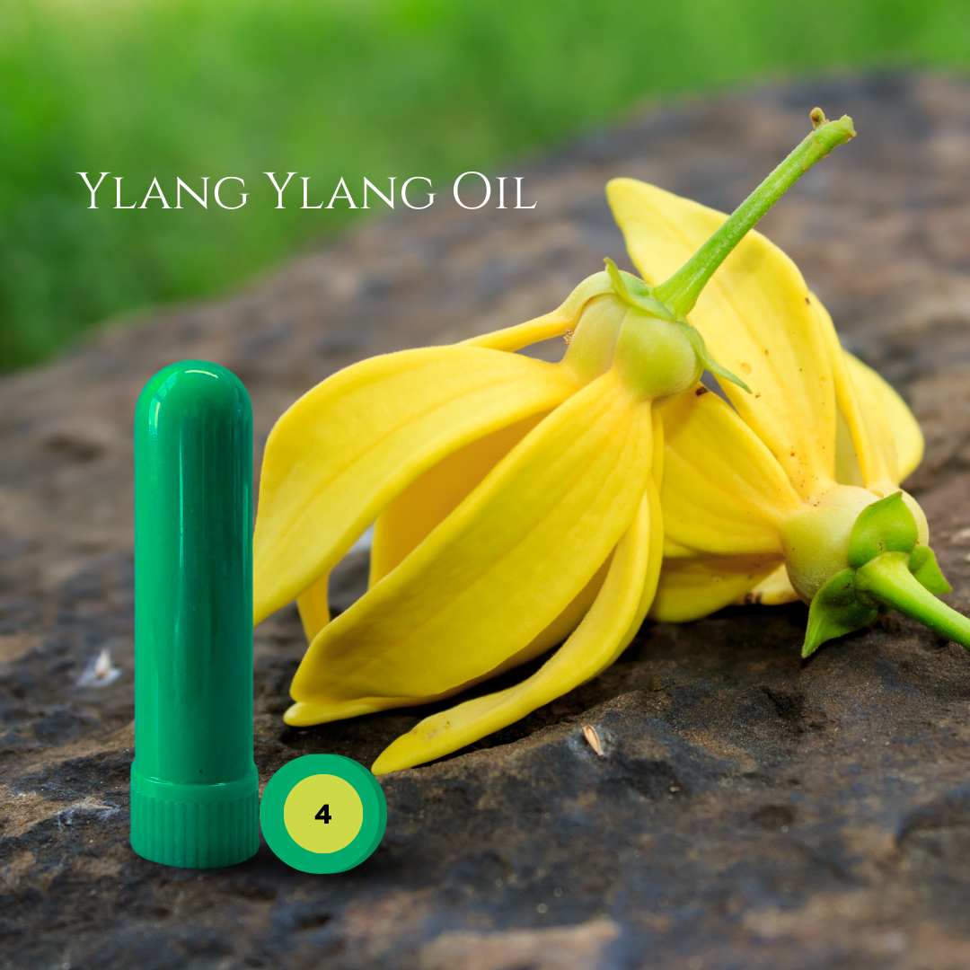 07_FLORAL_05_YLANG.png