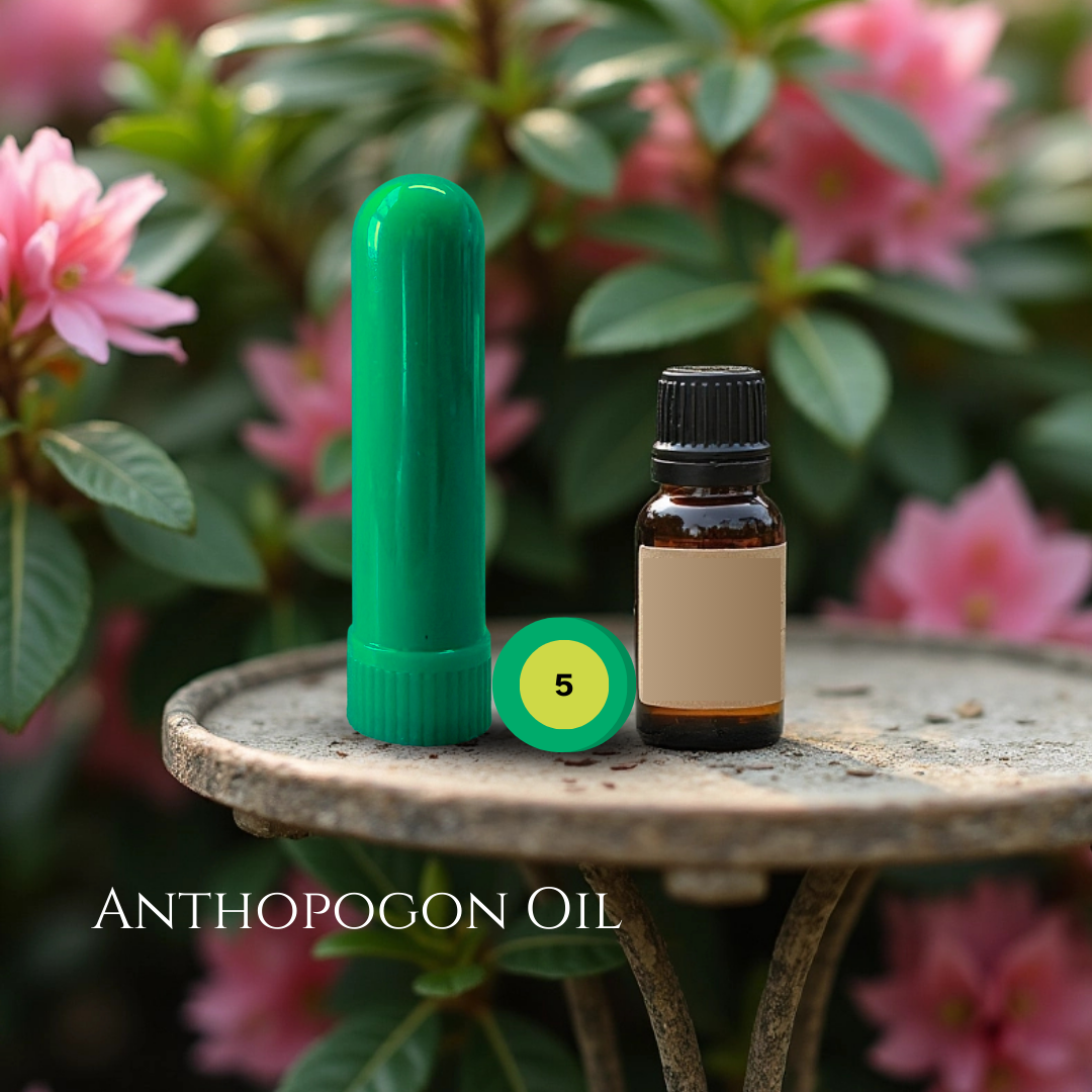 10_PINE_06_ANTHOPOGON.png