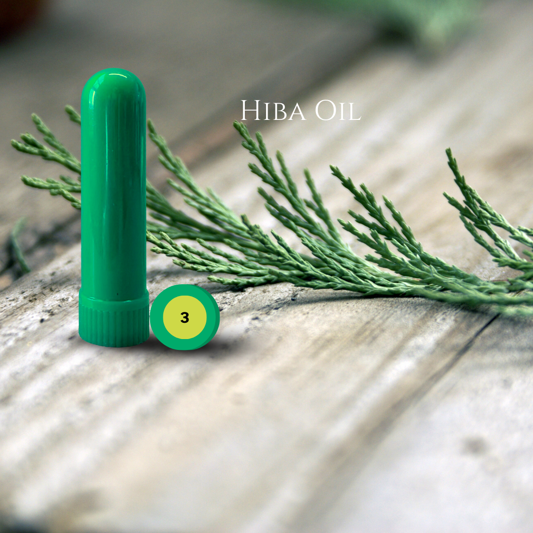 10_PINE_04_HIBA.png