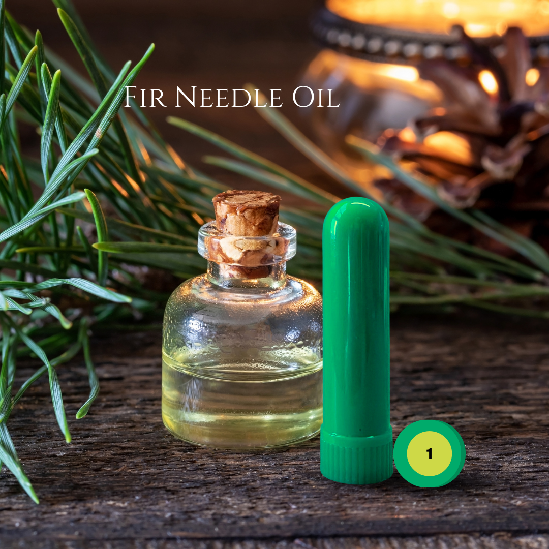 10_PINE_02_FIR-NEEDLE.png