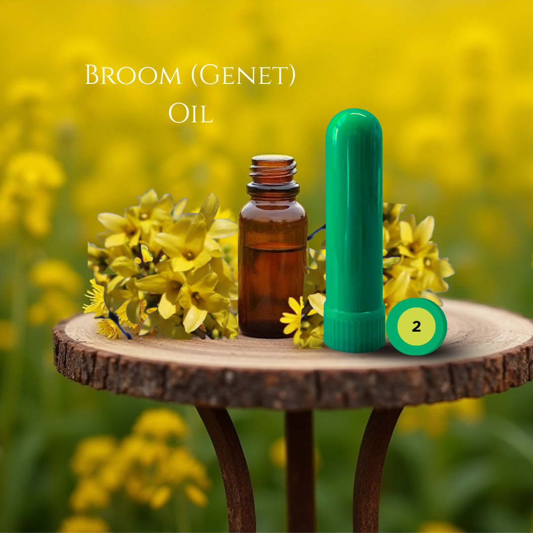 02_WOOD_03_BROOM.png
