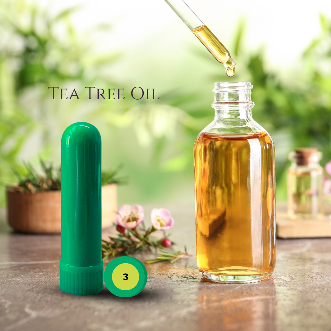 06_HERBAL_04_TEA TREE.png