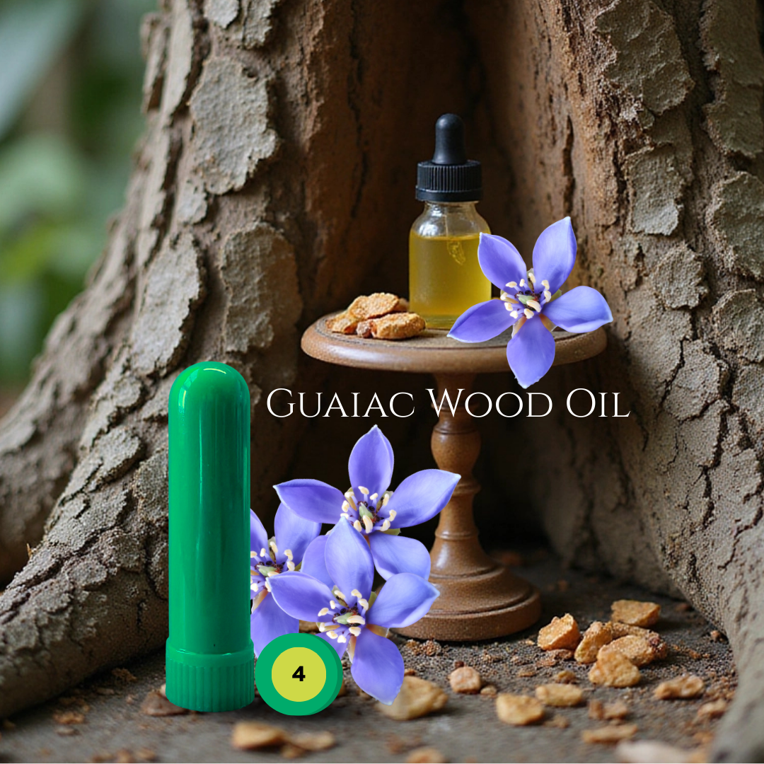 02_WOOD_04_HO-GUAIAC.png
