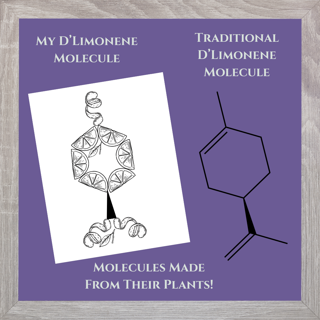 02_Molecules.png