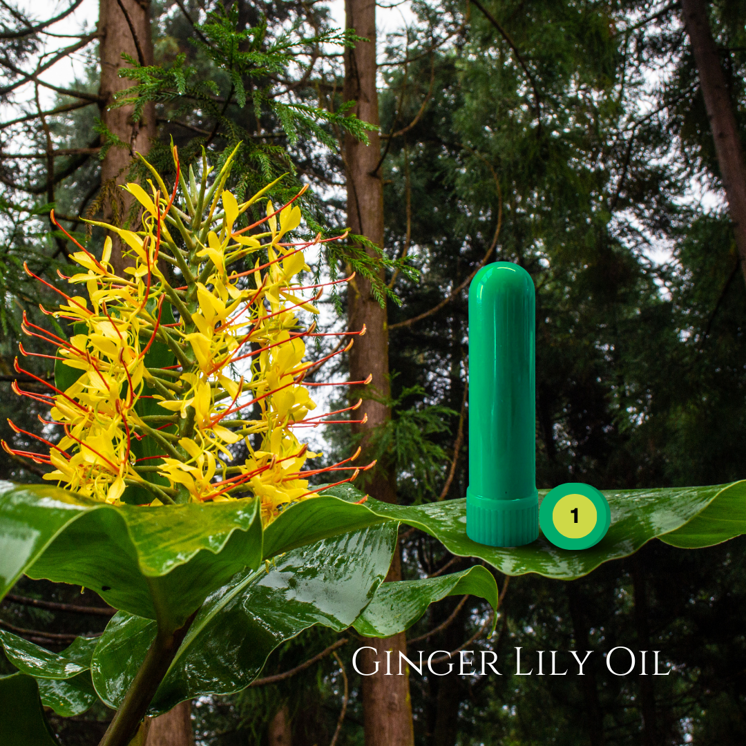 08_EXOTIC_02_GINGER-LILY.png