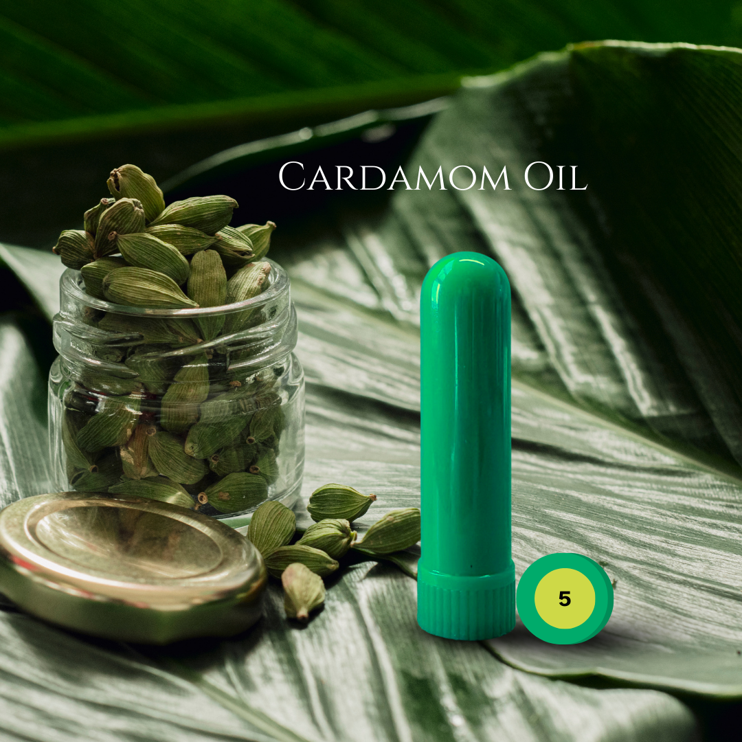 04_SPICE_06_CARDAMOM.png