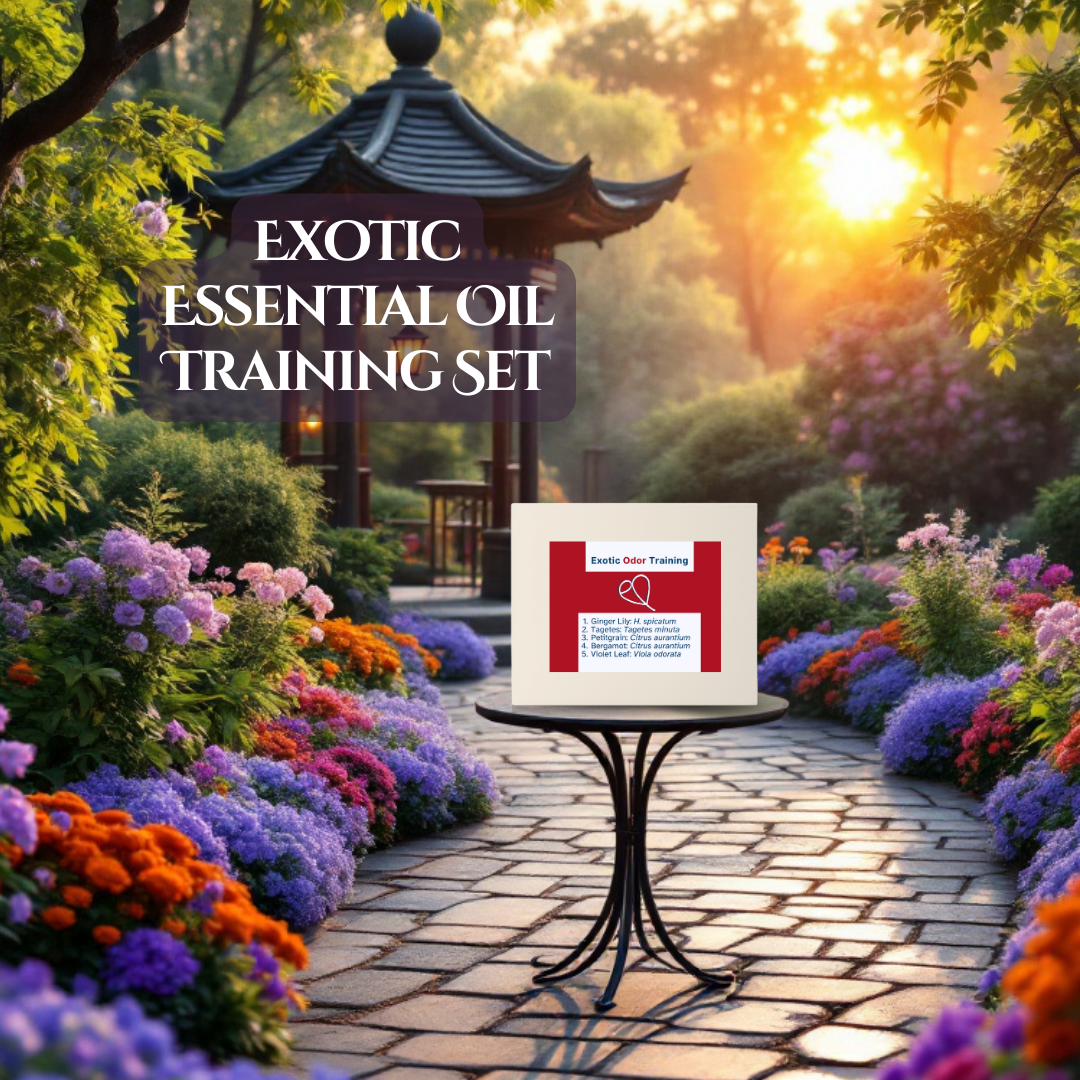 08_EXOTIC_01.png