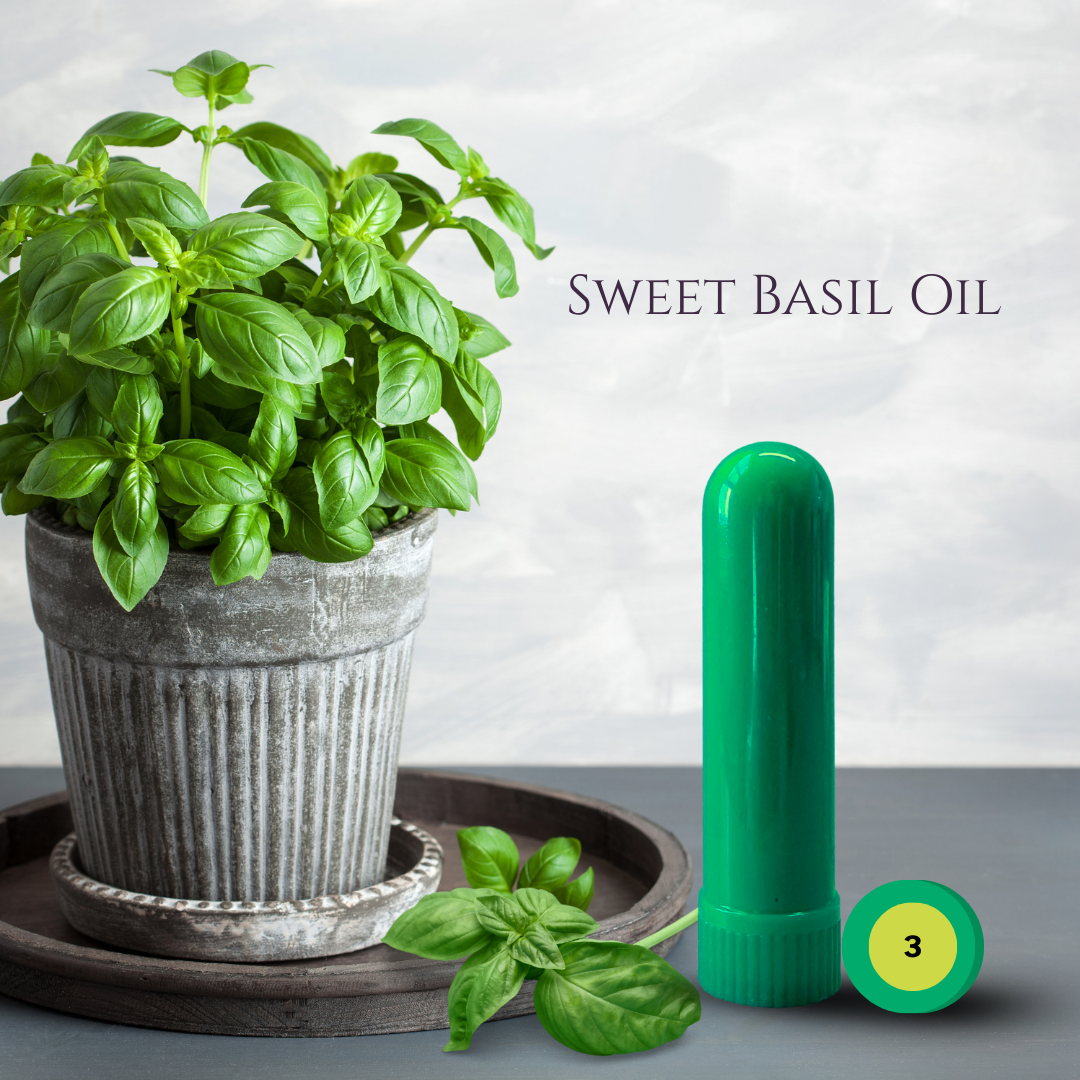 03_HERBS_04_BASIL.png
