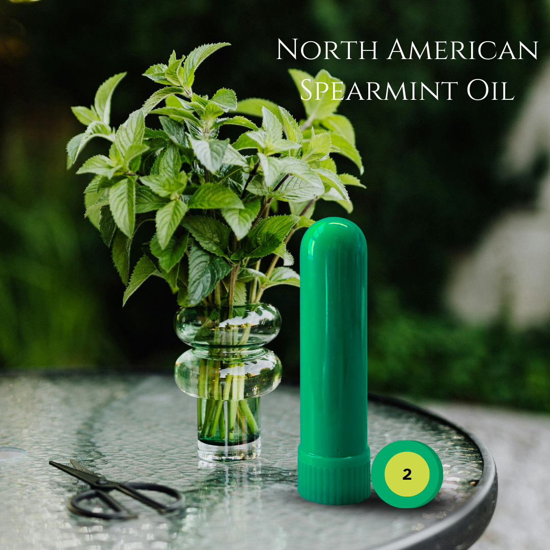 05_MINT_03_SPEARMINT.png
