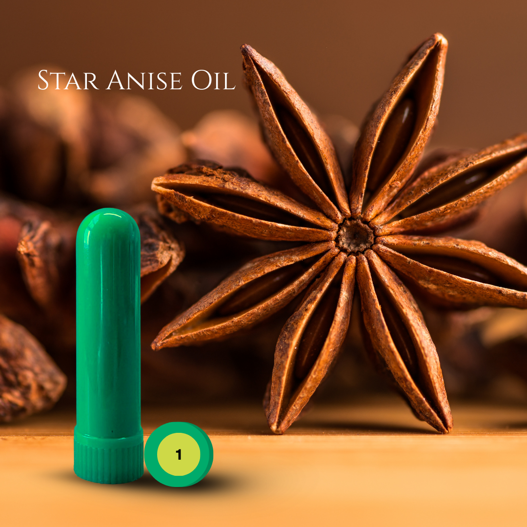04_SPICE_02_STAR-ANISE.png