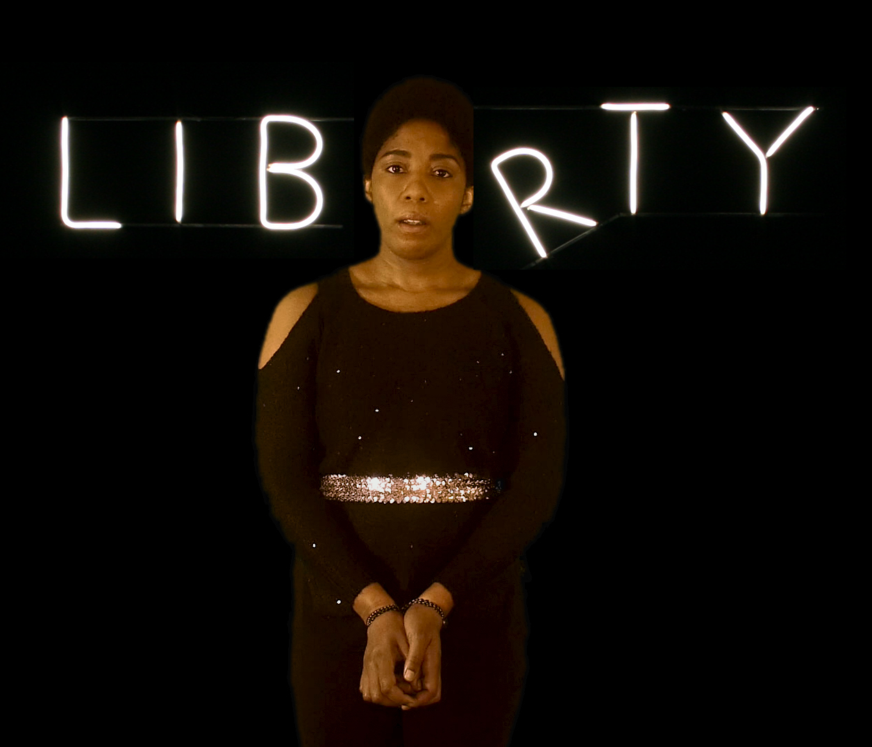 Negative Liberty/Positive Liberty | Installation