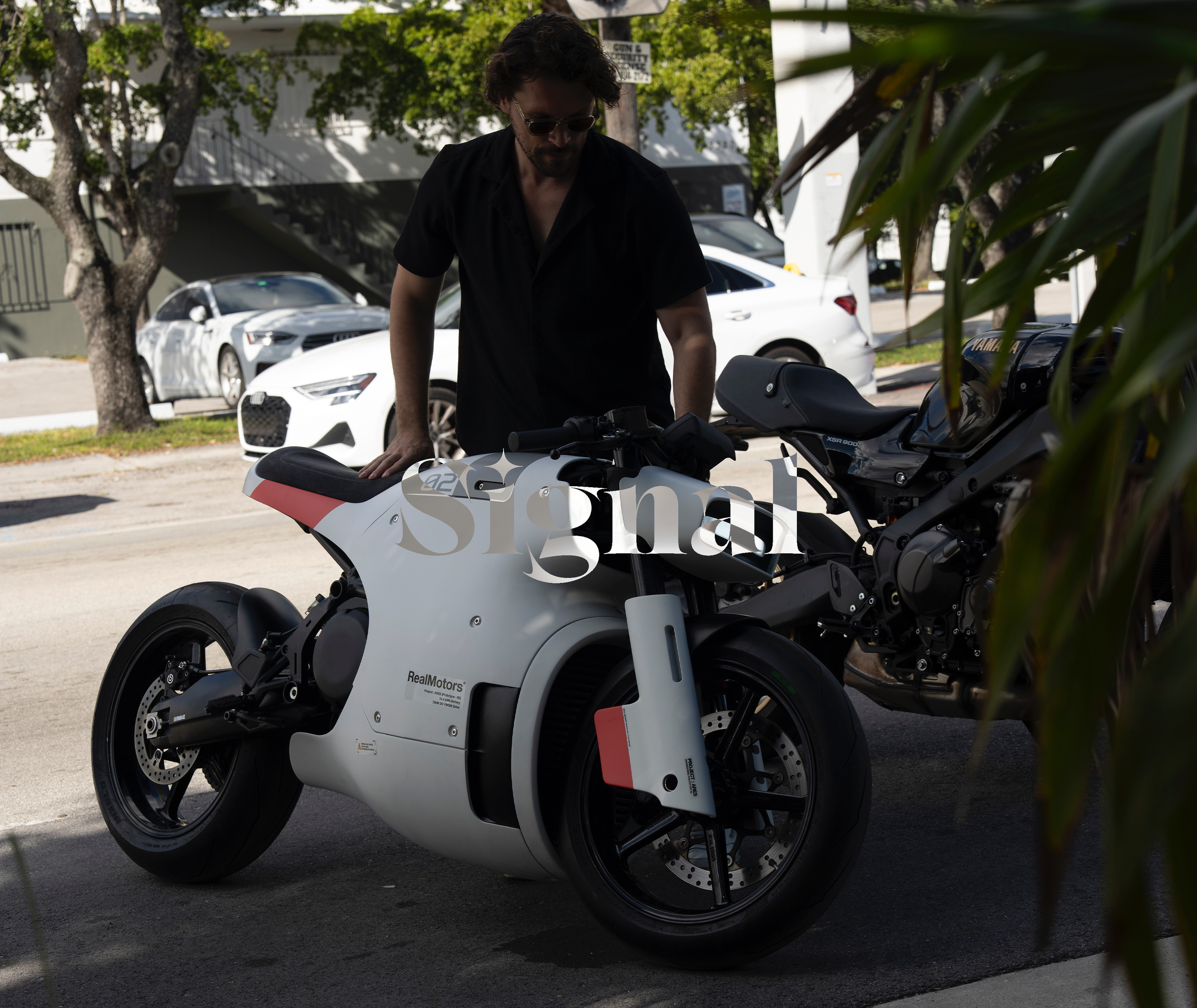 Signal | Trent Dingman &amp; Michael Feng