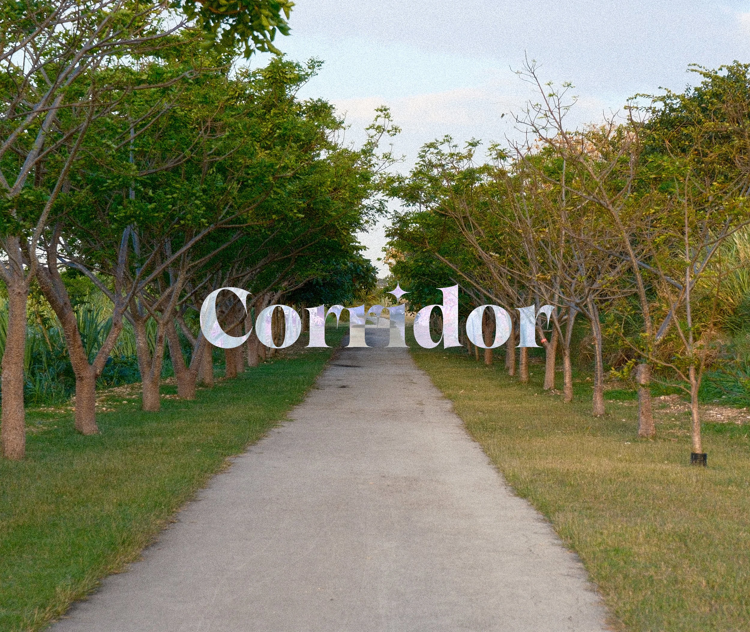 Corridor | Barbados Trailway Project
