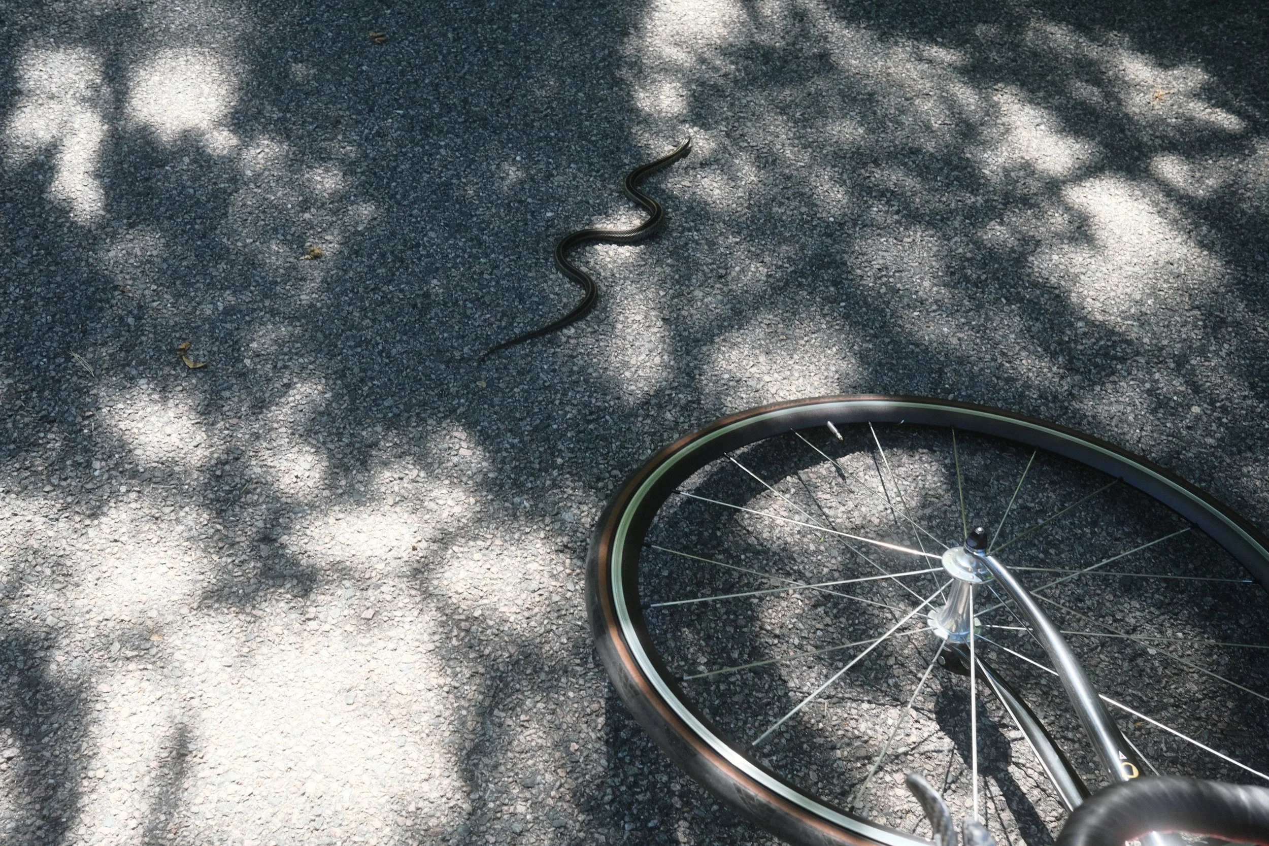 DSCF8151.JPG