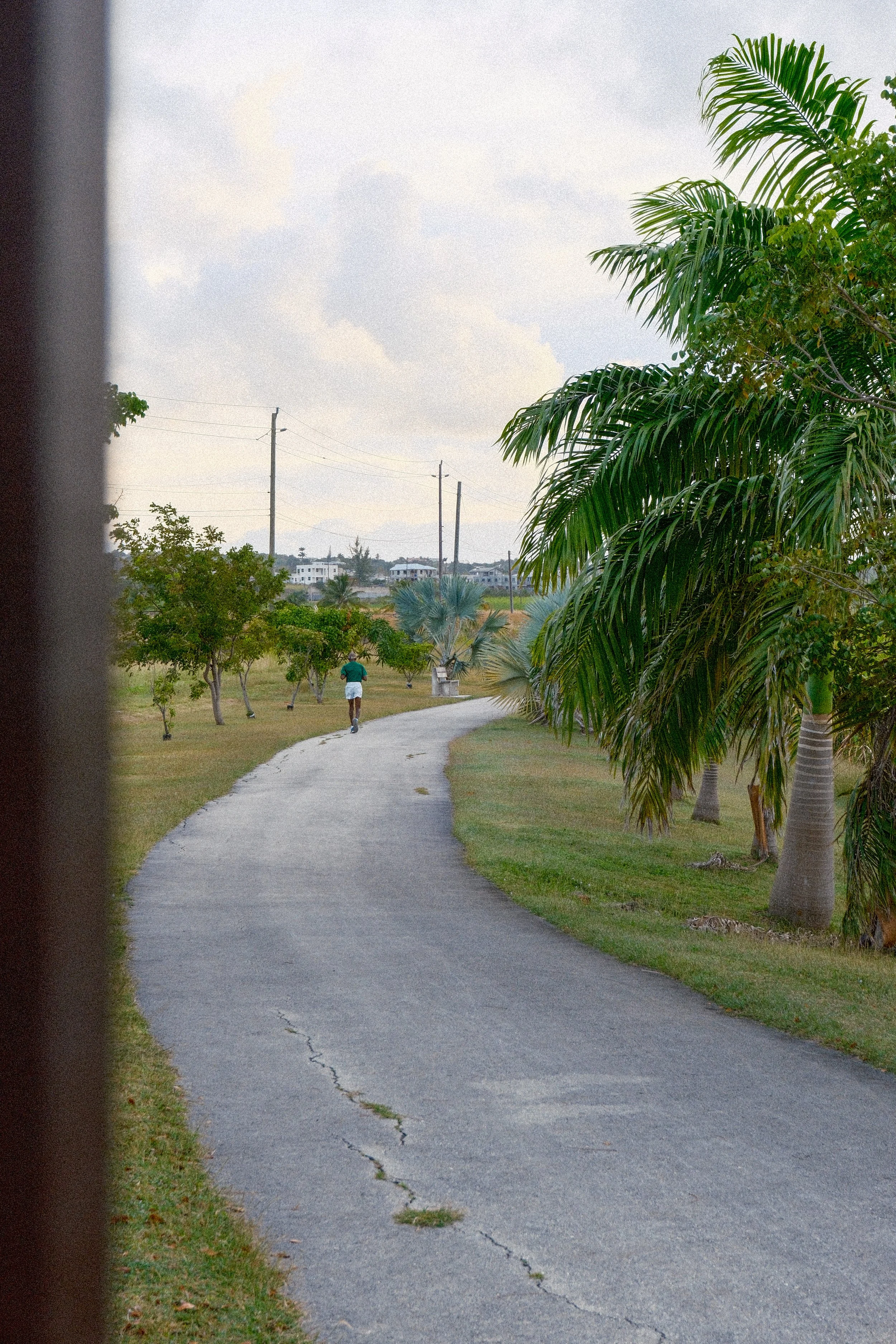 An image of a kibe runner on the Trailway from behind. It appears to be dawn or dusk. The foreground shows a crack in the asphalt with grass growing from it
