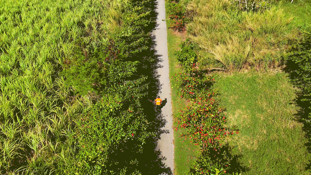 A drone shot following a cyclist on the Trailway as they freewheel along the route
