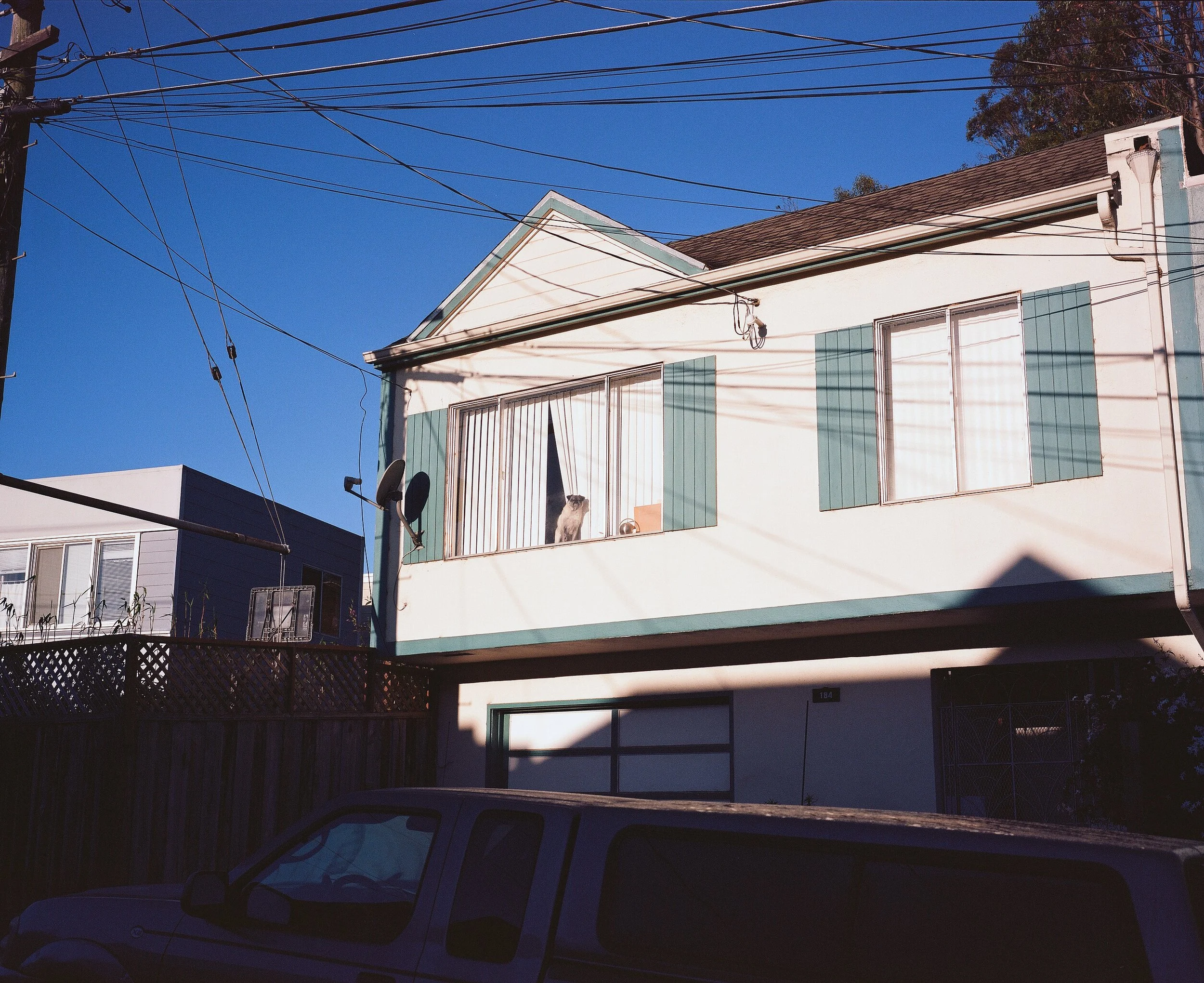 A dog peers through a window of a San Francisco house in 2016