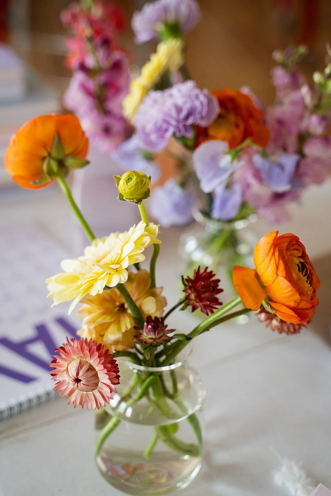 25.04.28_Go_Bloom_435.jpg