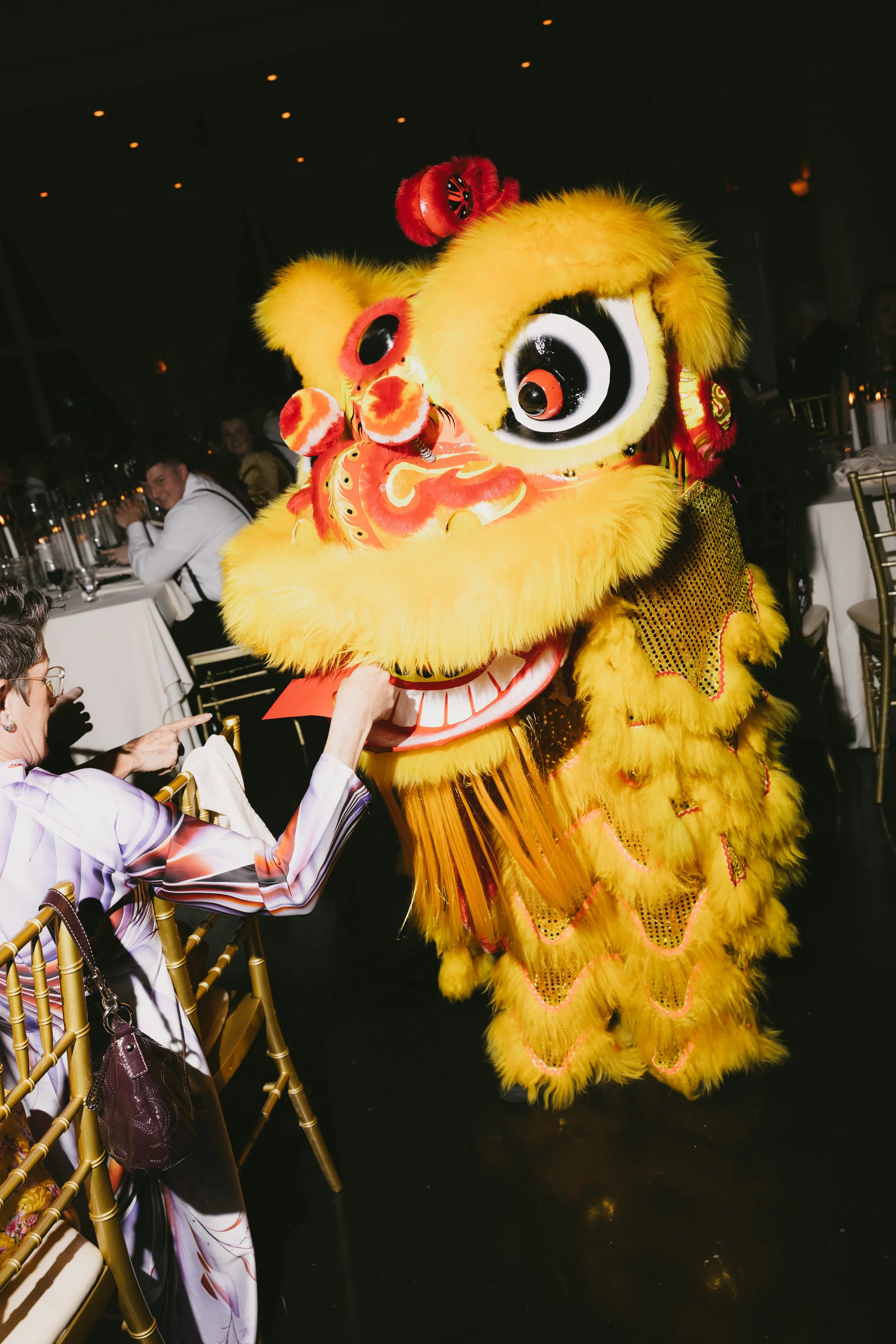 A person in a white and purple striped shirt interacting with a traditional yellow Chinese lion costume during a performance at an indoor event.