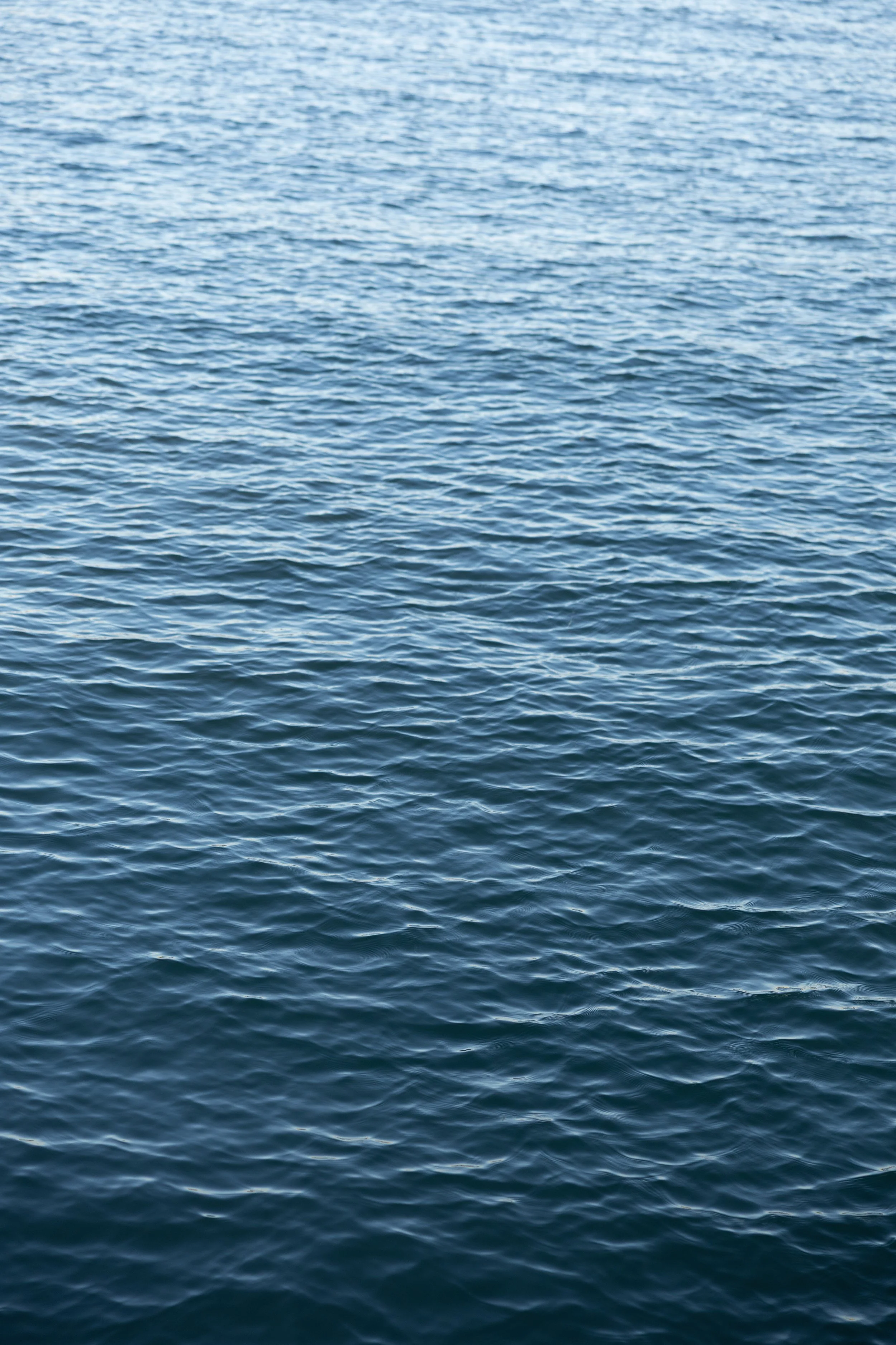 Open water with gentle waves on the ocean surface.