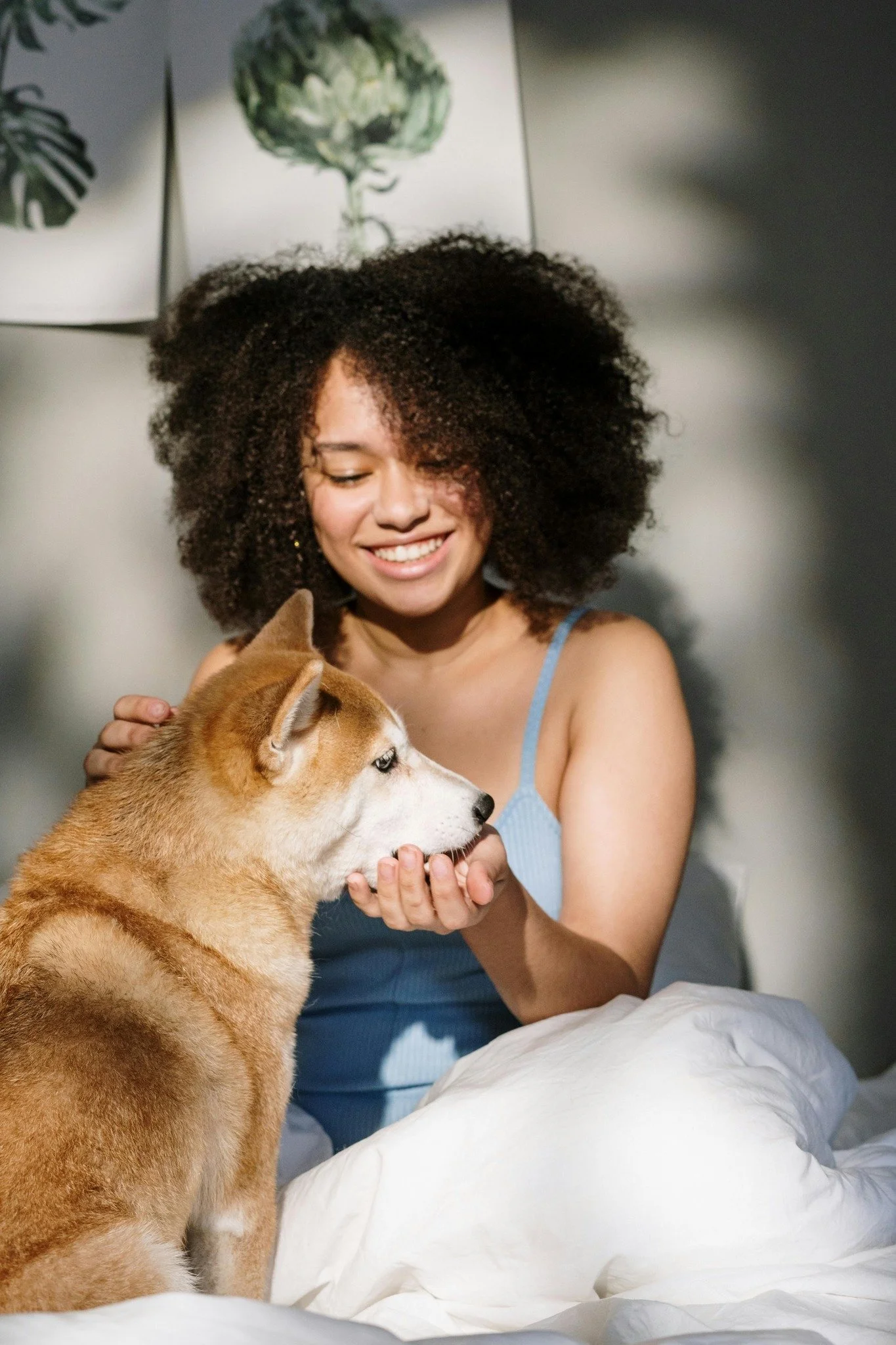 Calling pet parents: Honey Creek welcomes dogs &amp; cats&mdash;plus, on-site pet relief areas! #petfriendly #apartmentamenties #HoneyCreek #apartmentlocator