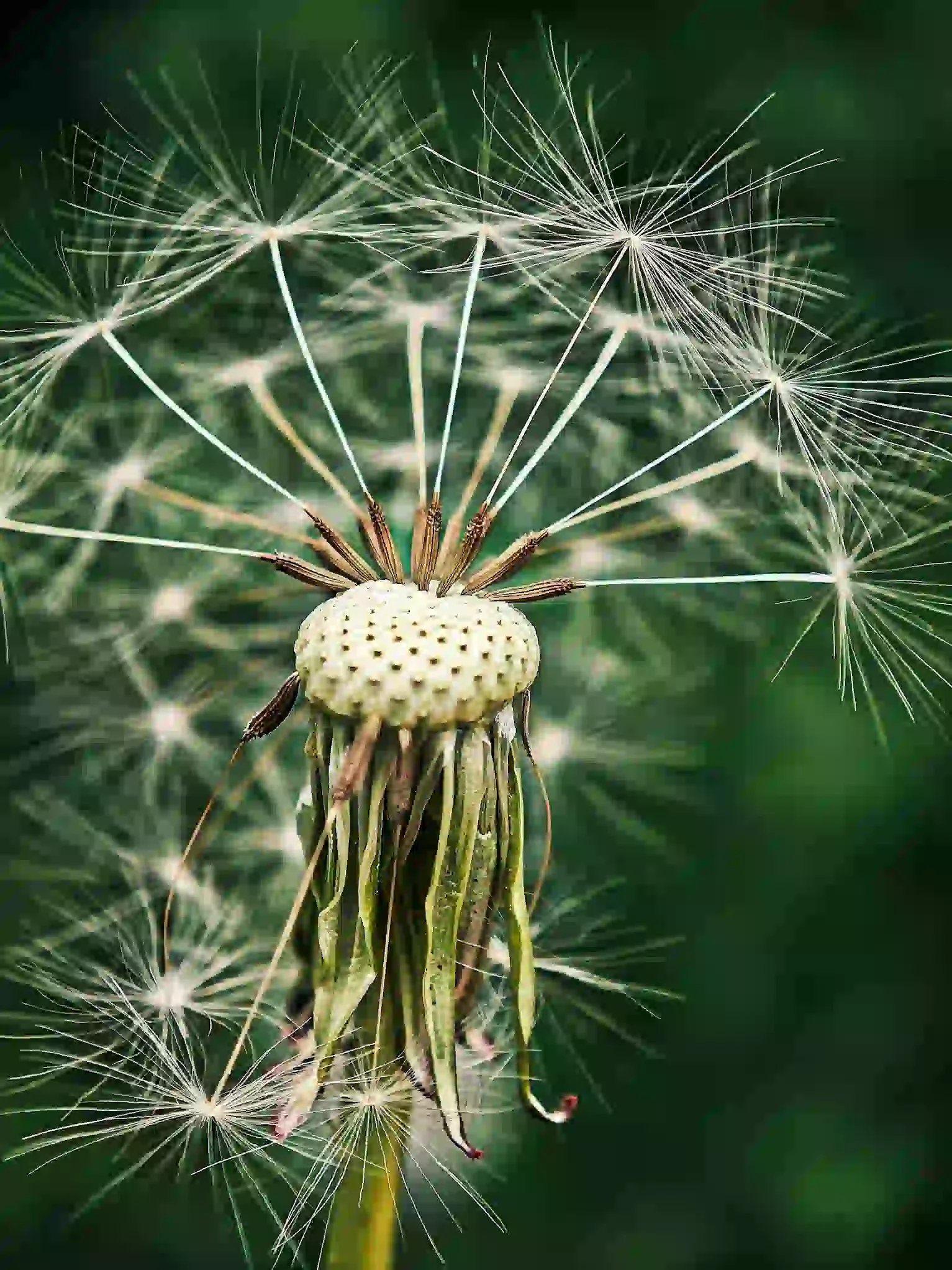 EMDR Therapy for Professionals: When Taking Care of Others Comes First